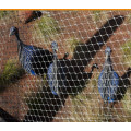 bird wire netting stainless steel cage mesh outdoor aviary netting